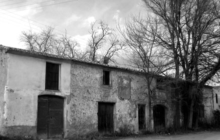 Panyet del Molí Serra